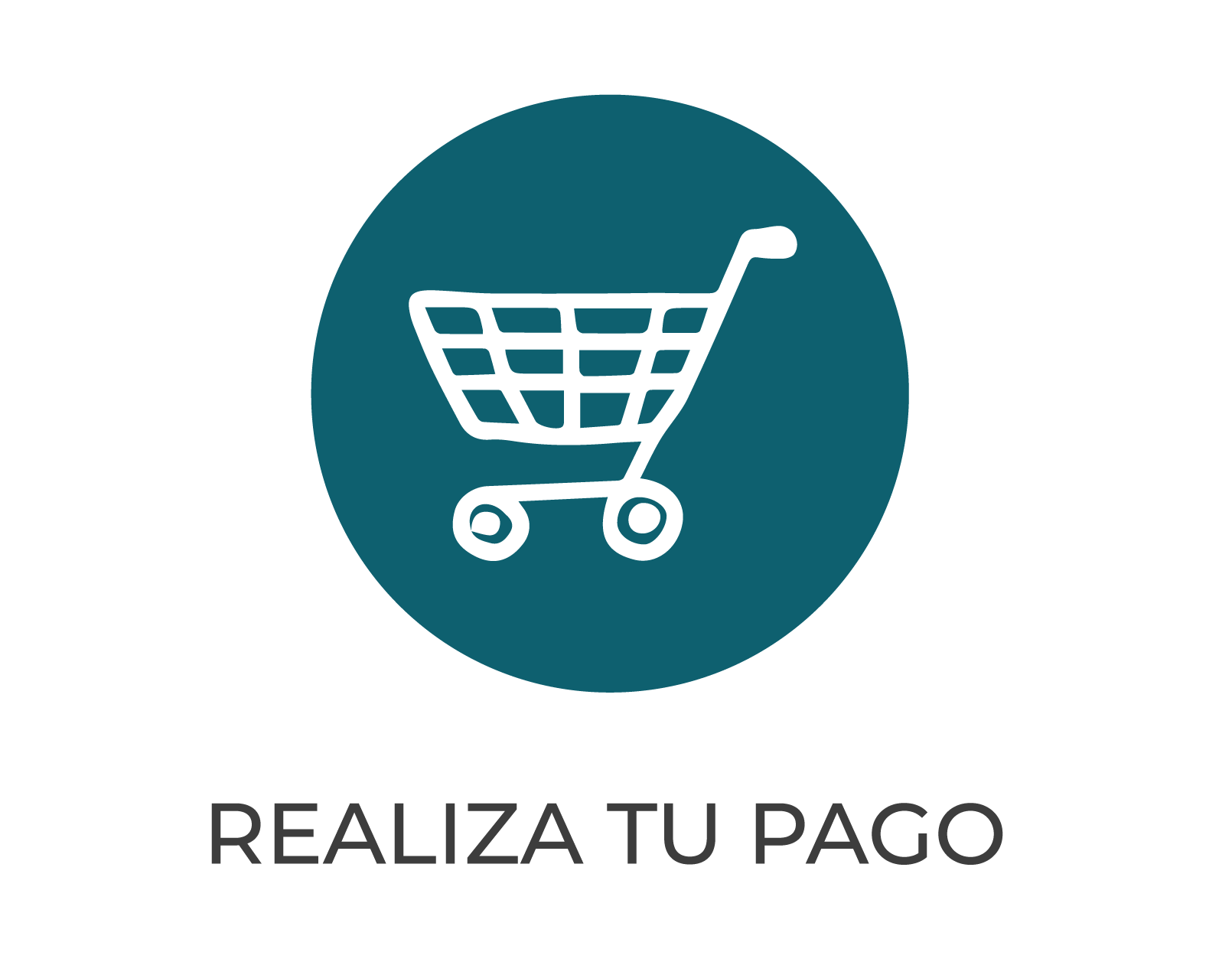 Realiza tu pago